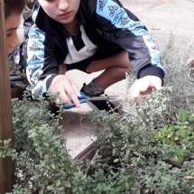 IMG-20190405-WA0008